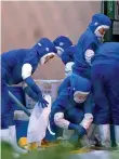  ??  ?? North Korean workers in blue overalls finish a shift at a seafood processing plant in Hunchun, Jilin province. Their remissions home help fuel the North’s war economy