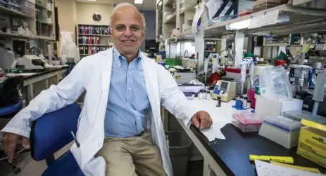  ?? GIOVANNI CAPRIOTTI FOR THE TORONTO STAR ?? Michael Pollak, seen in the oncology research lab at Montreal’s Jewish General Hospital, is the lone Canadian involved in the metformin drug trials.