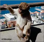  ??  ?? A Gibraltar.