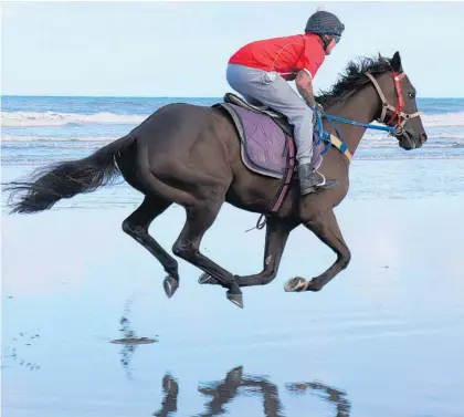  ?? ?? Local horse He No Opilio in training at Hokio Beach.