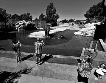  ?? DAVID ZALUBOWSKI/AP ?? Visitors observe social distancing rules while observing elephants as the Denver Zoo reopened on Friday.