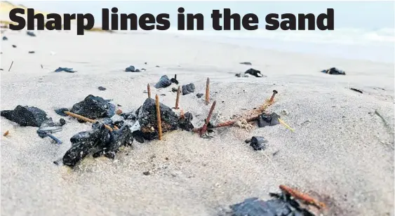  ?? Photos / Supplied ?? Kenneth Macpherson was walking his dog when he found ‘hundreds’ of rusty nails sticking out of the sand at Pa¯ pa¯ moa beach.