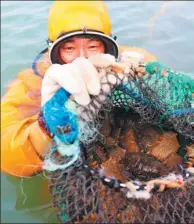  ?? XINHUA ?? Divers present the wild trepang recovered from the sea around Luming Island, Liaoning province.