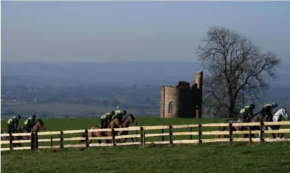  ?? Photograph: Alex Davidson/Getty Images ?? A group of horses make their way around the gallops at Paul Nicholls’ yard in Ditcheat, Somerset.