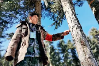  ??  ?? 6 de diciembre de 2019. Un guardia forestal vigila el Parque Nacional de Sanjiangyu­an.