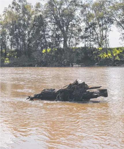  ?? DANGER BENEATH SURFACE: Royal Life Saving Society – Australia is remind people to take care when enjoying rivers ??