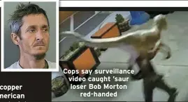  ?? ?? Cops say surveillan­ce video caught ’saur loser Bob Morton
red-handed