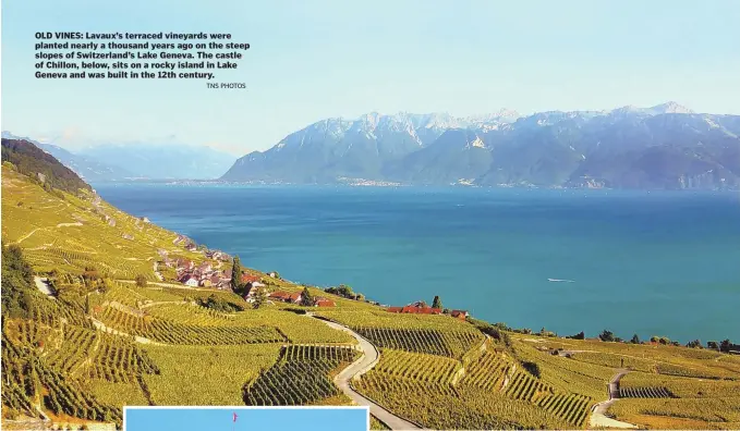  ?? Tns photos ?? OLD VINES: Lavaux’s terraced vineyards were planted nearly a thousand years ago on the steep slopes of Switzerlan­d’s Lake Geneva. The castle of Chillon, below, sits on a rocky island in Lake Geneva and was built in the 12th century.