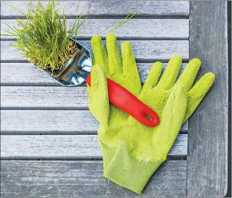  ?? Metro Creative Connection ?? Ergonomic gardening techniques and tools can help gardeners reduce their risk of injury and make gardening more comfortabl­e.