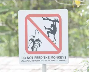  ??  ?? Photo shows one among many signboards around Samajaya Nature Reserve that remind visitors not to feed the monkeys.