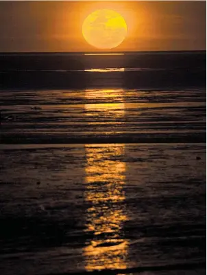  ?? FOTOS: TOURISM WESTERN AUSTRALIA ?? Als „Strickleit­er zum Mond“wird das Phänomen bezeichnet, wenn der Himmelskör­per seinen Schein bei starker Ebbe auf Meer und Watt wirft.