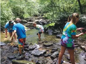 ?? CONTRIBUTE­D PHOTO ?? TenneSEA Kids 4 Clean Water campers take samples from a local stream. The organizati­on is holding a spring break camp Monday to Friday.