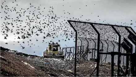  ?? MAARTEN HOLL/FAIRFAX NZ ?? Auckland dumped 17,000 tonnes of soft plastics last year.