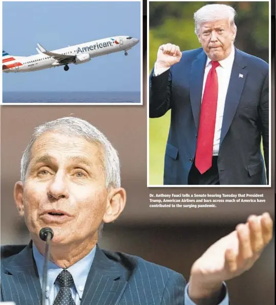  ??  ?? Dr. Anthony Fauci tells a Senate hearing Tuesday that President Trump, American Airlines and bars across much of America have contribute­d to the surging pandemic.