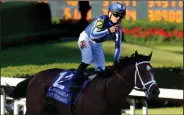  ?? (Arkansas Democrat-Gazette/Thomas Metthe) ?? Gabriel Saez celebrates after riding By My Standards to victory in the Oaklawn Handicap in Hot Springs. By My Standards’ winning time was 1:47.80.