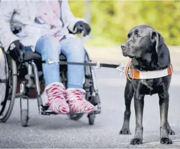  ??  ?? Mira entraîne des chiens d’assistance qui aident les personnes ayant des limitation­s autres que visuelles.