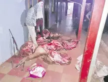  ??  ?? Dos de los abigeos fueron arrestados con la carne faenada de un animal vacuno, además de armas de fuego y cuchillos.