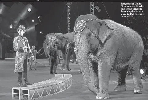  ?? JASPER COLT, USA TODAY ?? Ringmaster David Shipman works with one of the Ringling Bros. elephants at a show in Fairfax, Va., on April 17.