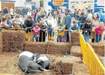  ??  ?? En la feria también se pudo ver ganado de una decena de caseríos.