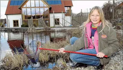  ??  ?? Der Grasfrosch ist am typischen Schläfenfl­eck erkennbar! Wer den Platz hat, ihnen im eigenen Garten ein Biotop (o.) zu schenken,kann die Männchen jetzt sogar „knurren“hören, denn es ist Paarungsze­it.