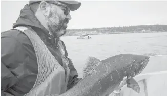  ??  ?? Preparing salmon for release is Edward Eleazer of the Washington Department of Fish and Wildlife aboard the Lummi Nation vessel participat­ing in the live fish trials on Sunday.