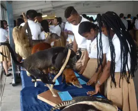  ??  ?? ESPECIES. Más de 100 especies endémicas del ‘Chocó’ esmeraldeñ­o, son exhibidas en el edificio de Flopec, en Las Palmas.