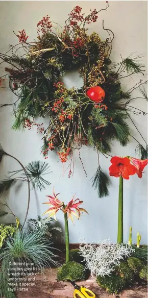  ??  ?? ‘Different pine varieties give this wreath its lack of uniformity and make it special,’ says Hattie