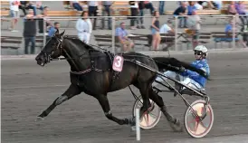  ?? Bild: LARS PERSSON ?? DERBYHOPP. Även om Very Kronos är en speciell häst att köra enligt Erik Adielsson blev det en klockren seger i Breeders Crown i Halmstad.