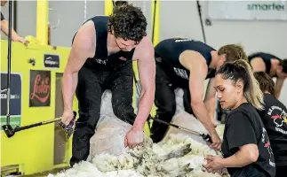  ?? PHOTO: DOUG FIELD/STUFF ?? Corey White shears for wool handler Tyler Hira, from Waikato, at the Waimate Shears on Friday.