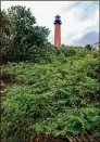  ??  ?? Look over the shrubs on the trail and you’ll see the Jupiter Inlet Lighthouse.