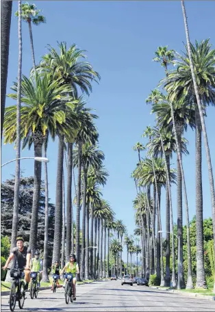  ??  ?? Our Bike and Hikes LA Celebrity Tour peddles down palm-treed Bedford Avenue in Beverly Hills.