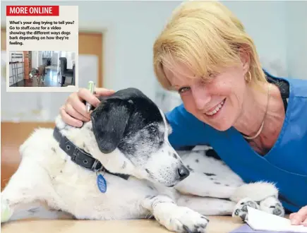  ?? Photo: Grahame Cox/fairfax NZ ?? What’s your dog trying to tell you? Go to stuff.co.nz for a video showing the different ways dogs bark depending on how they’re feeling.
Woof justice: Devonport vet and barking expert Elsa Flint with 13-year-old River.