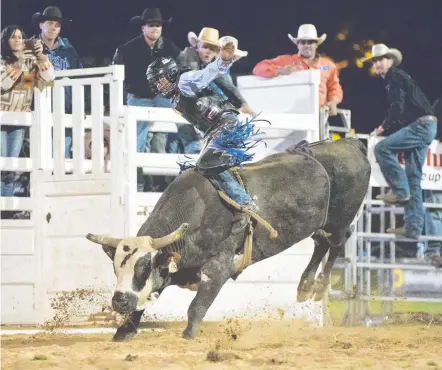  ?? Picture: Nev Madsen ?? TOP RESULT: Jason Mara went the distant on Rock Star scoring 85 points to secure the The Chronicle PBR All Star Challenge in 2016.