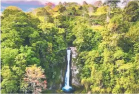  ?? VAMOS A TURISTEAR ?? Disfrute de esta hermosa catarata en Turrialba.