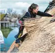  ?? Foto: Felix Kästle, dpa ?? Reetdachde­ckerin Moira Memmhardt bei der Arbeit an den Pfahlbaute­n in Uhldingen.