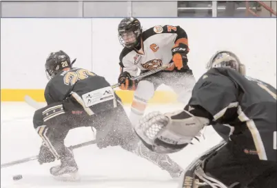  ?? NEWS PHOTO RYAN McCRACKEN ?? South East Athletic Club Tigers captain Mason Mowat sets up teammate Roman Cherniak (not pictured) for an assist while Ryan Nolan (20) of the Calgary Northstar Sabres defends during Saturday’s Alberta Bantam Hockey League game at the Hockey Hounds Arena.