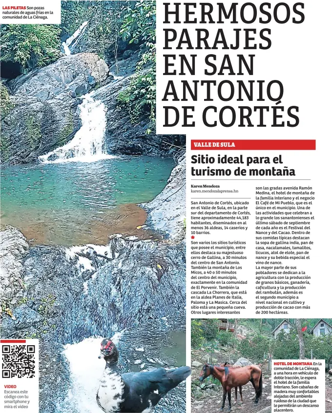  ??  ?? Son pozas naturales de aguas frías en la comunidad de La Ciénaga. VIDEO Escanea este código con tu smartphone y mira el video
HOTEL DE MONTAÑA En la comunidad de La Ciénaga, a una hora en vehículo de doble tracción, le espera el hotel de la familia Interiano. Son cabañas de madera muy confortabl­es alejadas del ambiente ruidoso de la ciudad que le permitirán un descanso placentero.