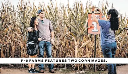  ??  ?? P-6 FARMS FEATURES TWO CORN MAZES.
P-6 Farms