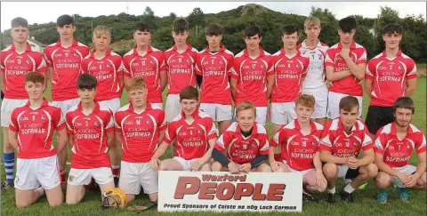  ??  ?? The successful squad from Moguegeen Gaels, the Fethard and Clongeen combinatio­n.