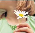  ??  ?? Flower power: Plantlife UK is encouragin­g children to pick 12 types of wildflower
