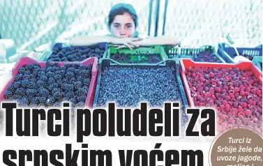  ??  ?? Turci iz Srbije žele da uvoze jagode, maline i borovnice