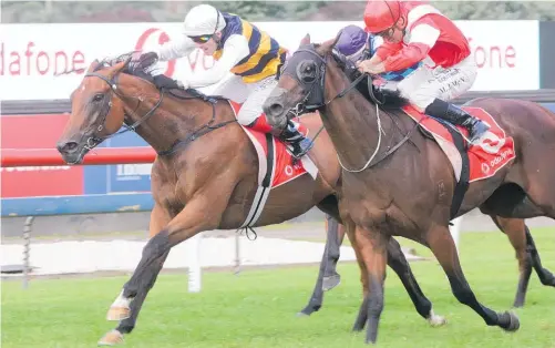  ?? Picture / Trish Dunell ?? Vin De Dance (left) pips Mongolianc­onqueror in the $1m NZ Derby. Both horses contest the A$650k Rosehill Guineas on Saturday.