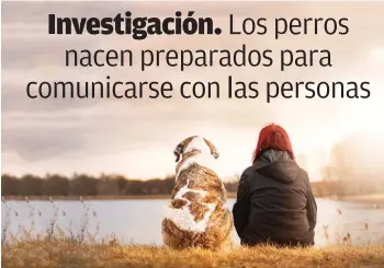  ?? MUNDO EJECUTIVO ?? Una investigac­ión indica que los cachorros responden a la mirada social de las personas.