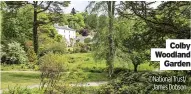  ?? ?? Colby Woodland Garden ©National Trust/ James Dobson