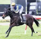  ?? PHOTO: TRISH DUNELL ?? Melt (Sam Spratt) clears out to win the Northland Breeders Stakes at Ruakaka on Saturday.