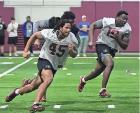  ?? EHSAN KASSIM/TALLAHASSE­E DEMOCRAT ?? Florida State players Lamont Green Jr. (45) and Tomiwa Durojaiye (19) take part in the final Tour of Duty winter workouts ahead of 2024 spring practices.