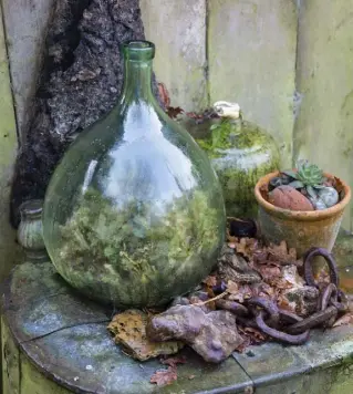  ??  ?? FROM LEFT A terrarium filled with lichens and a clay pot of succulents are combined with salvaged items atop a galvanized water hod; the small glossy leaves of box (Buxus sempervire­ns) are decorated with a sparkling