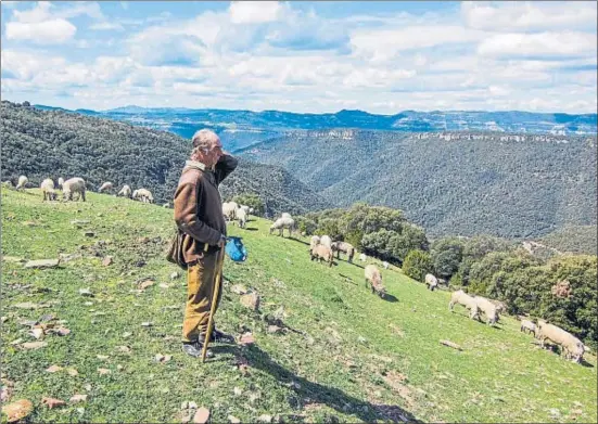  ?? PEDRO CATENA ?? Daniel Brunet pastoreand­o un domingo de abril su rebaño de ovejas y cabras