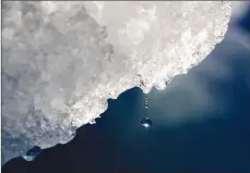  ?? Canadian Press photo ?? In this 2017 file photo, a drop of water falls off an iceberg melting in the Nuup Kangerlua Fjord in southweste­rn Greenland.