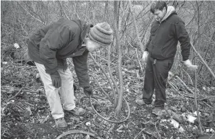  ?? ALISON JENKINS/JOURNAL PIONEER ?? David Cody, left, and Zachary Phillips from the Kensington North Watersheds Associatio­n inspect a tree that has grown through an old wheel on top of a large trash heap next to the Barbara Weit River in New Annan.